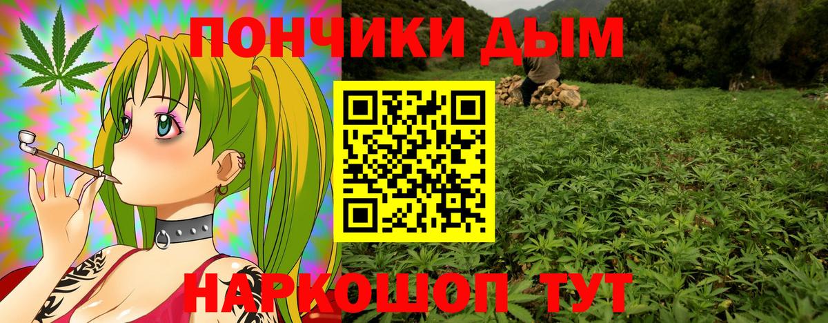 Конопля SATIVA & INDICA Сочи